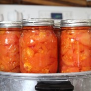 Canning Tomatoes