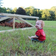 Chicken Tractor